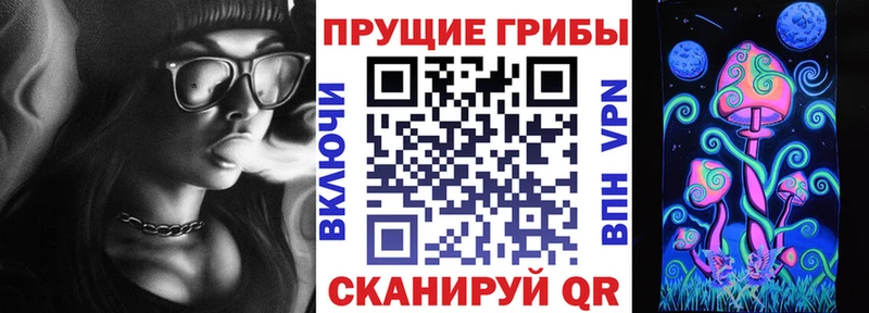 сколько стоит  Рязань  Галлюциногенные грибы Magic Shrooms 