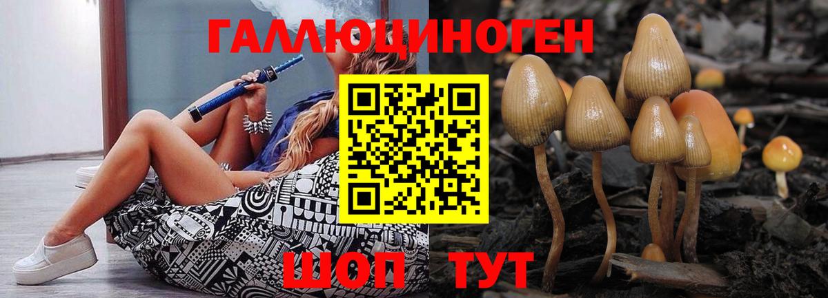 Псилоцибиновые грибы Cubensis Рязань